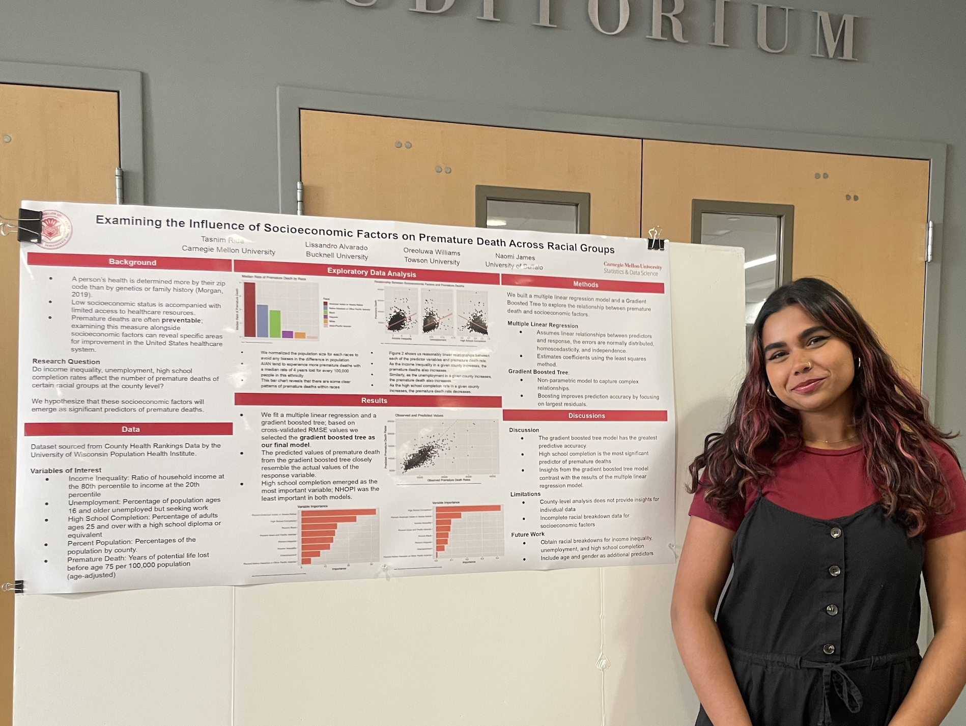 Research poster or presentation image